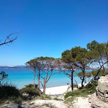Il Mirto 2.0 Αλγκέρο