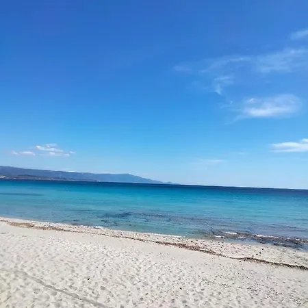 Πανσιόν Il Mirto 2.0 Αλγκέρο