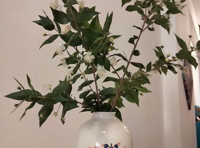 Pensjonat Il Mirto 2.0