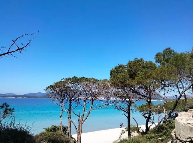 Il Mirto 2.0 Alghero