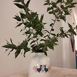 Gasthof Il Mirto 2.0