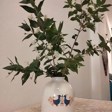 Гостевой дом Il Mirto 2.0